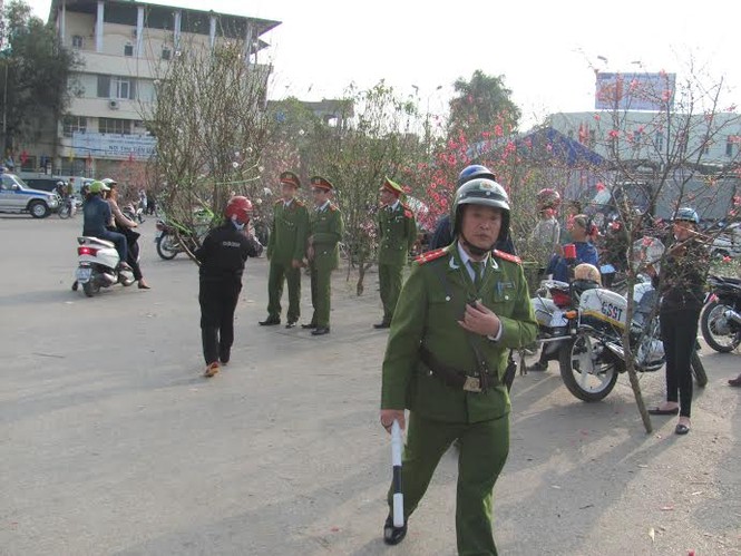 Đào ‘lạ’ tại Lạng Sơn - ảnh 2